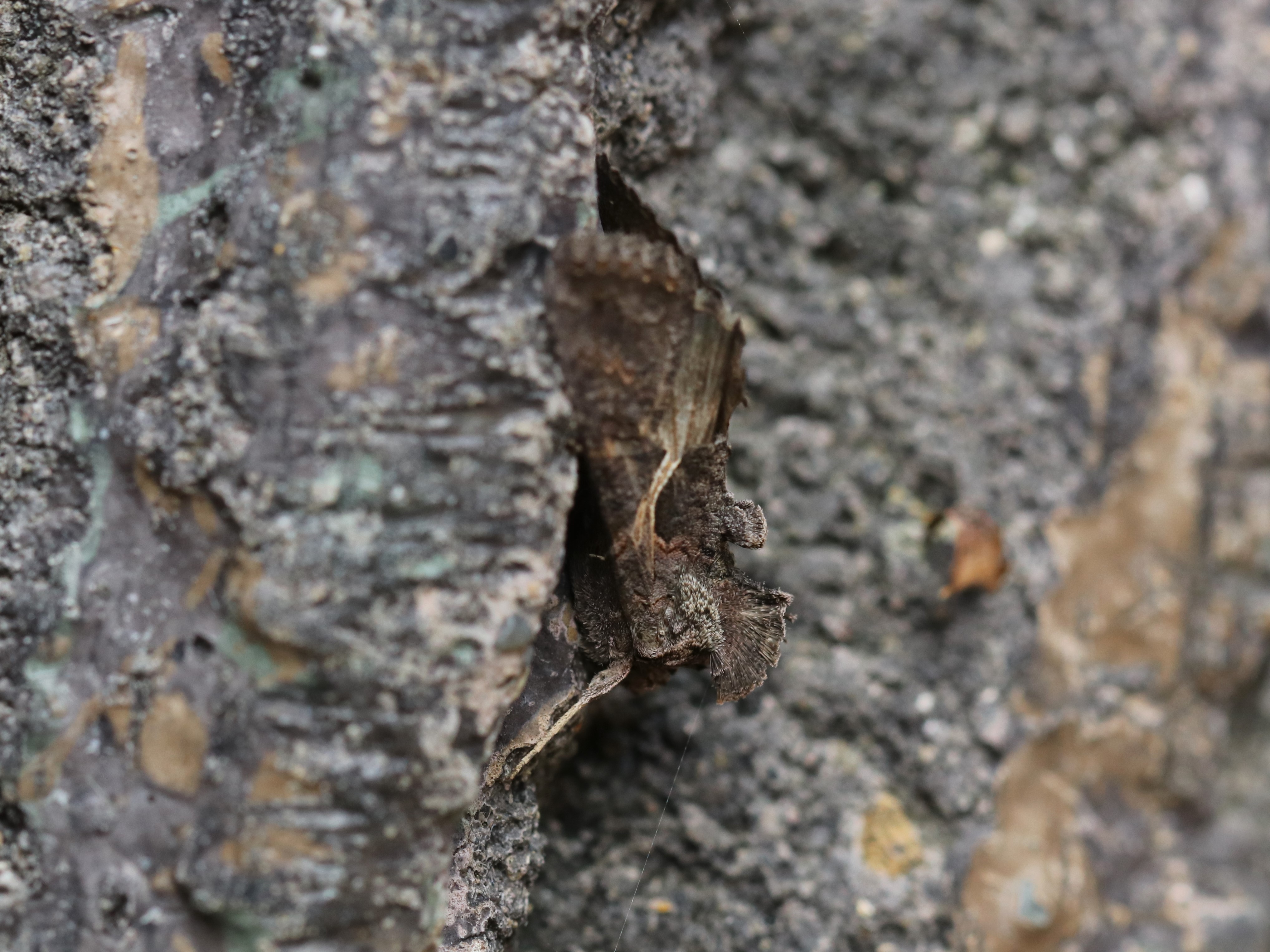 photo_1